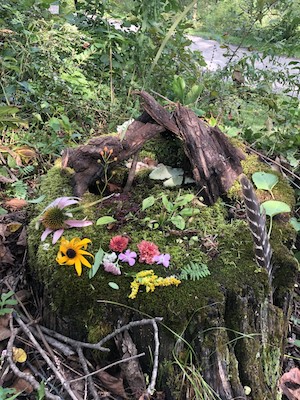 fairy house at Blackhawk